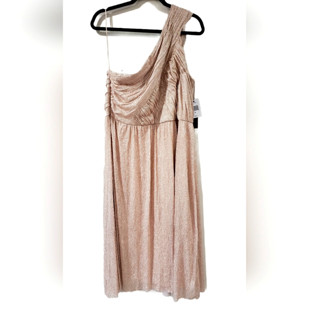 NWT GLITTER DRESS